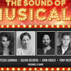 The Sound Of Musicals